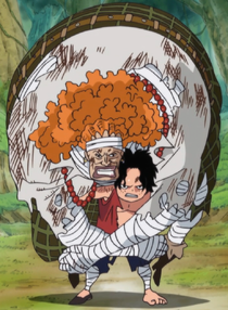 Ace Carries Curly Dadan