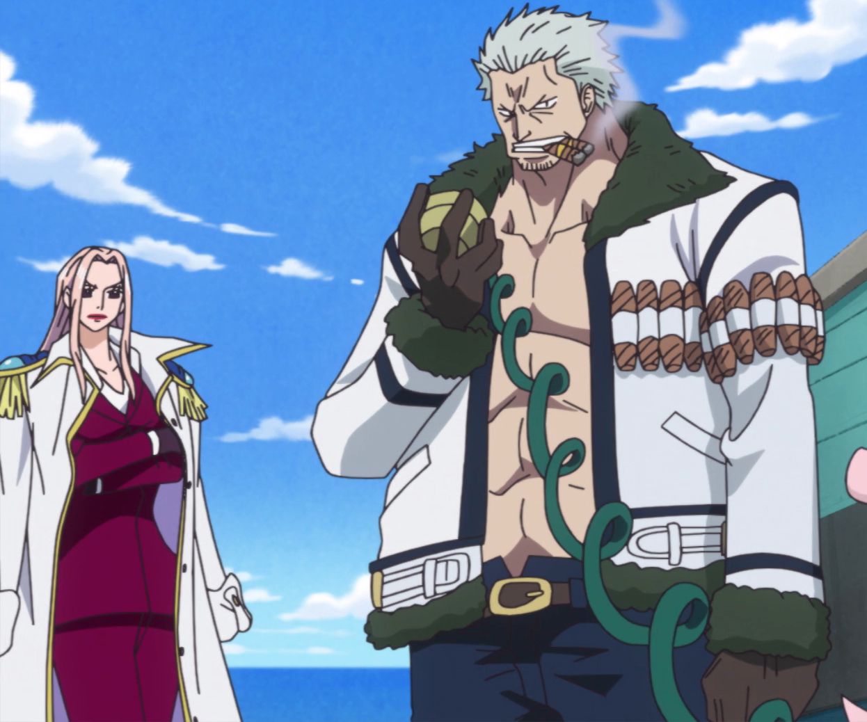 Captain (Marine Rank), One Piece Wiki