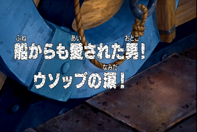 One Piece Densetsu no Otoko no Saigo! Umi Ressha ga Naita Hi (TV Episode  2005) - IMDb