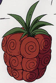 Fruta Del Diablo One Piece Wiki Fandom