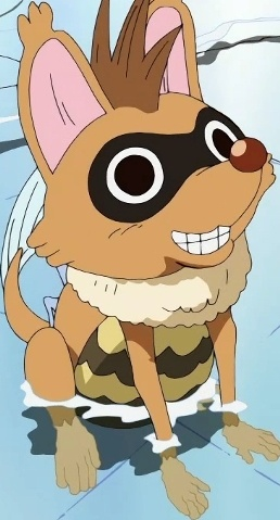Cute chonky raccoon with neotenic features in an adorable anime style on  Craiyon
