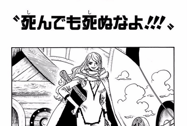 Chapter 900 | One Piece Wiki | Fandom