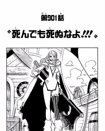 Chapter 901 One Piece Wiki Fandom
