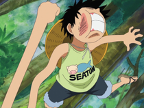 Iro Iro no Mi  One Piece+BreezeWiki