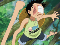 Riki Riki no Mi, One Piece Wiki