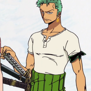 Discuss Everything About One Piece Wiki Fandom