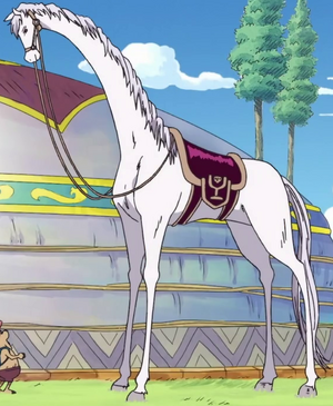 Zunesha's Mysterious Race Explained #onepiece #shorts