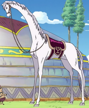 Zunesha's Mysterious Race Explained #onepiece #shorts 