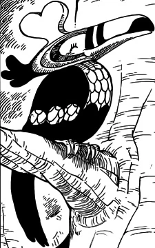 Animal Species Sky Island Saga One Piece Wiki Fandom