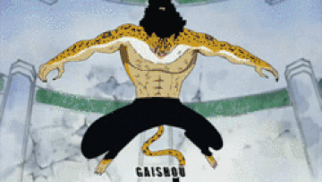 Rokushiki: O estilo de luta sobre-humano (One piece) 