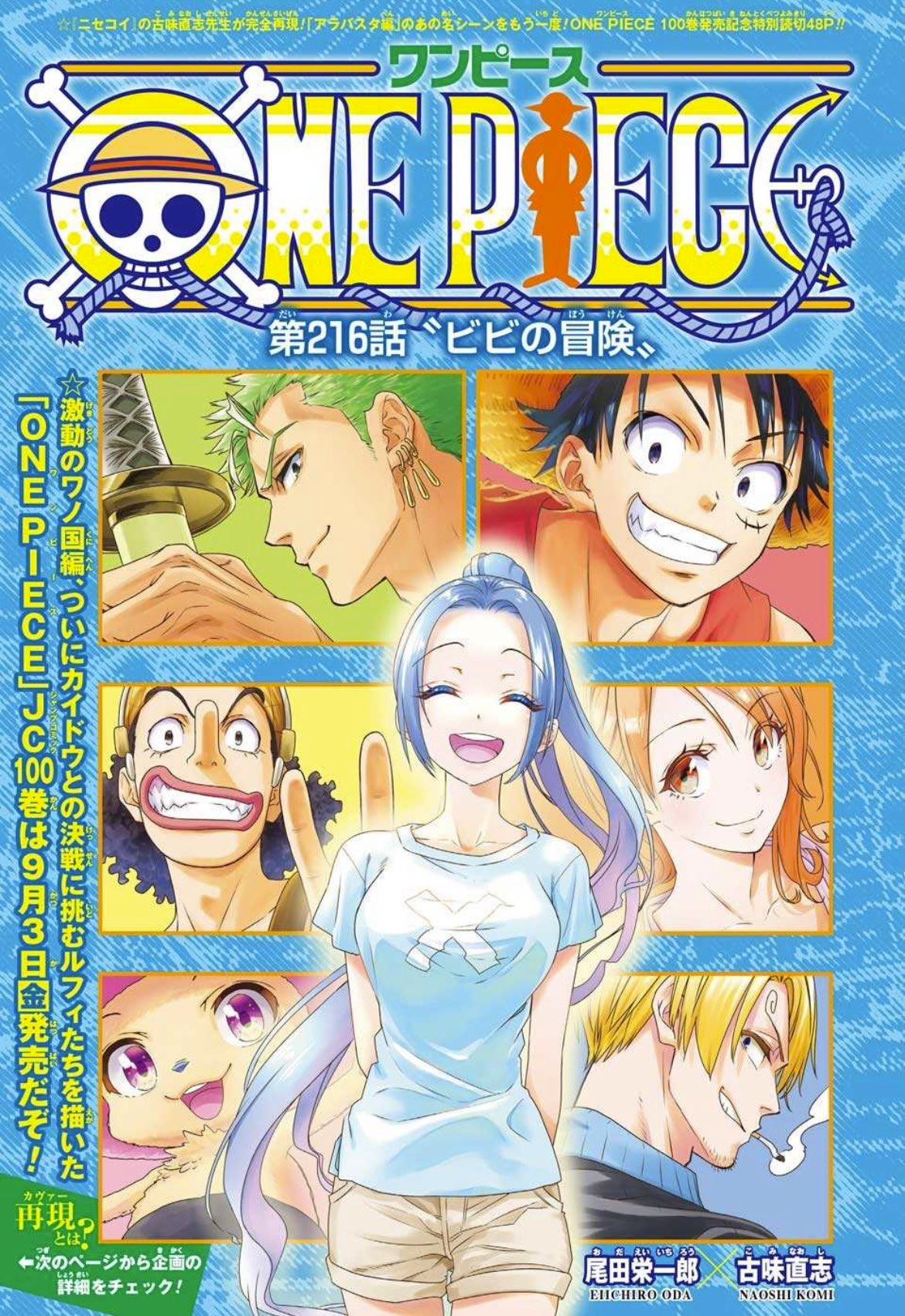 VIZ on X: Announcement: Based on the novel series One Piece