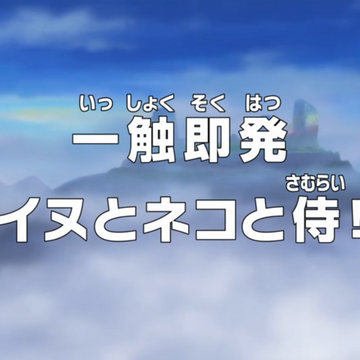 Episode 767 One Piece Wiki Fandom Episode 767 One Piece Wiki Fandom