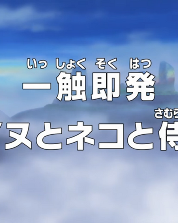 Episode 767 One Piece Wiki Fandom Episode 767 One Piece Wiki Fandom