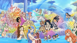 Mermaid Cove