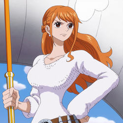 Category Citation Needed One Piece Wiki Fandom