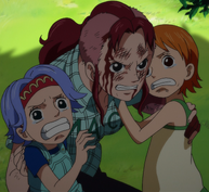 Bell-mère Protects Nami and Nojiko