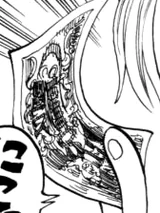 Belly One Piece Wiki Fandom