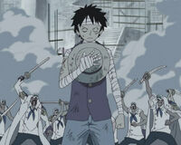 3D2Y Luffy foto.jpg