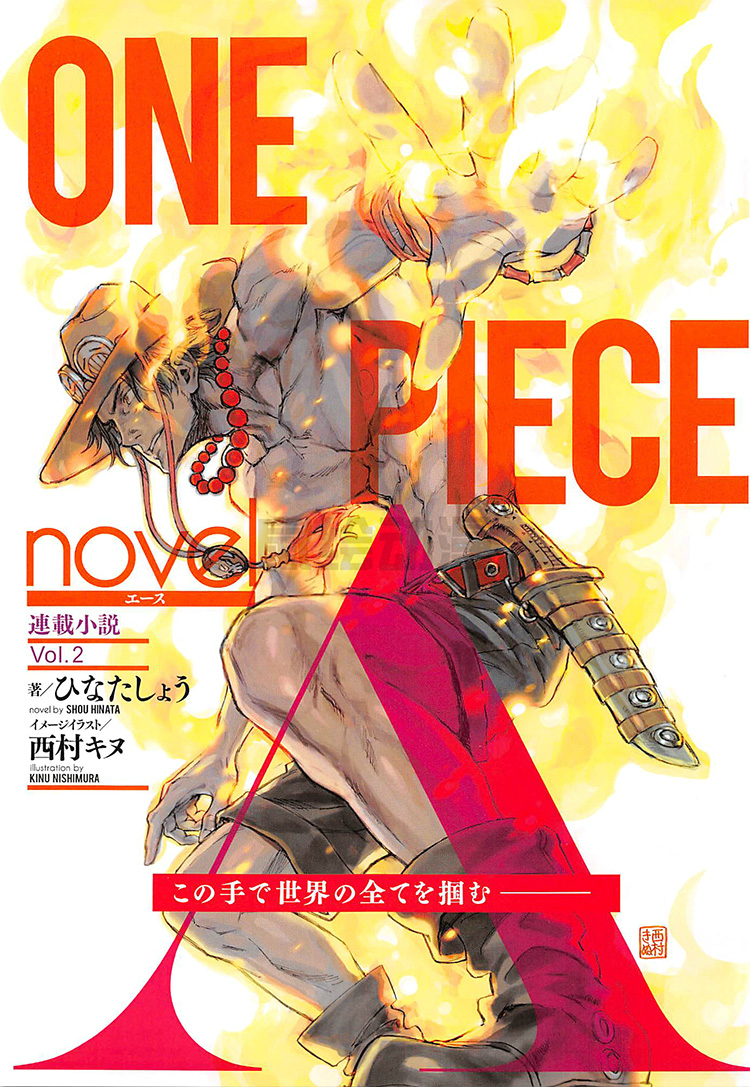 One Piece Novel A One Piece Encyclopedie Fandom