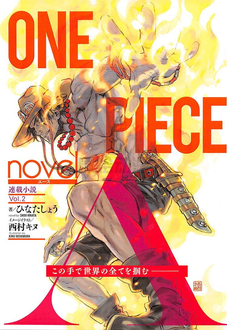 One Piece Roman - Novel A 1re partie