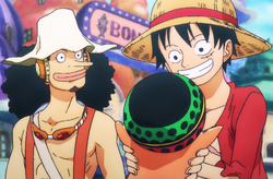 Pappag One Piece Wiki Fandom