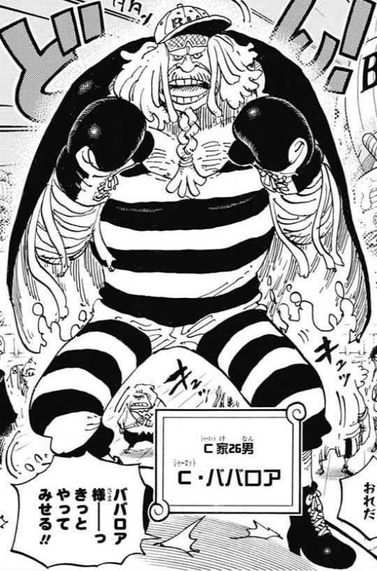 Charlotte Bavarois One Piece Wiki Fandom