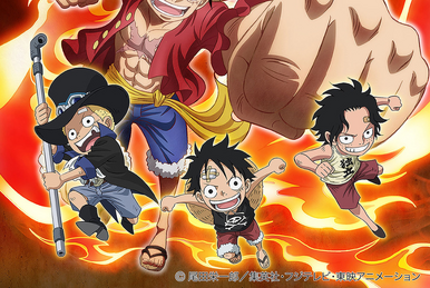 Episode of Merry  One piece anime, Anime, Tv animation
