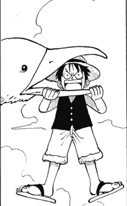 Luffy oiseau