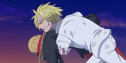 Sanji Carrying Luffy to Safety