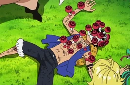 Телесные Грибы