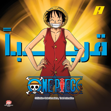 One Piece, Wiki