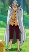 Rayleigh's Summit War Saga Outfit