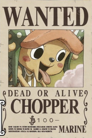 Tony Tony Chopper Avis de Recherche Post Dressrosa