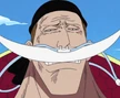 Whitebeard With Brown Hair