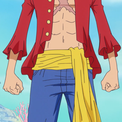 List of One Piece characters - Wikipedia