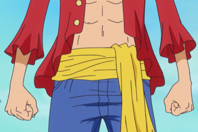 SBS One Piece Wiki Fandom