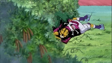 Chiquicheetah pierde