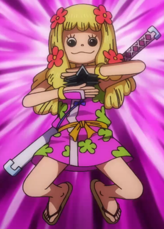 Shinobu, One Piece Wiki