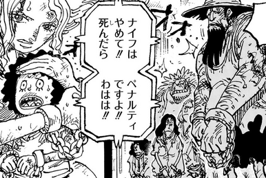 Eyes of Zoro | One Piece Wiki | Fandom