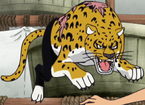 Neko Neko no Mi, Modelo: Leopardo, One Piece Wiki