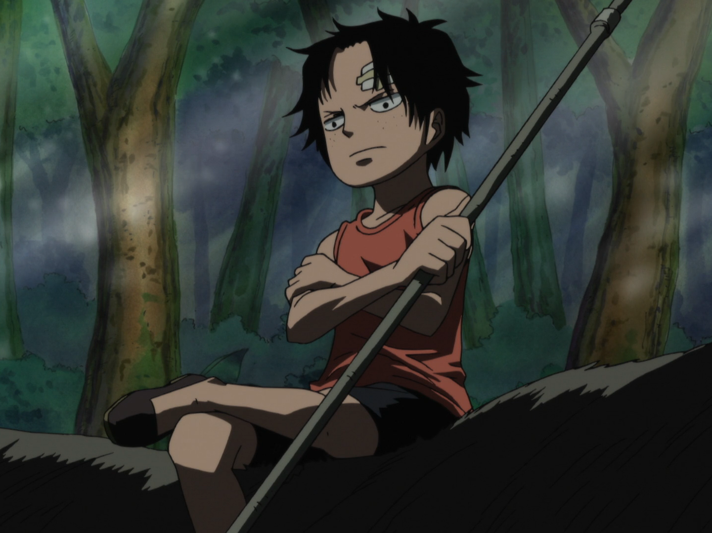 Portgas D Ace History One Piece Wiki Fandom Portgas D Ace History One Piece Wiki Fandom