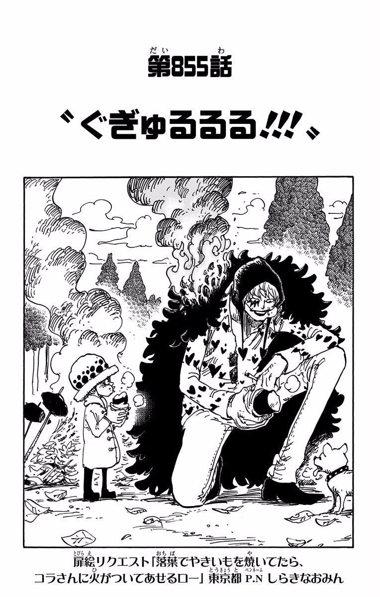 Chapter 855 One Piece Wiki Fandom