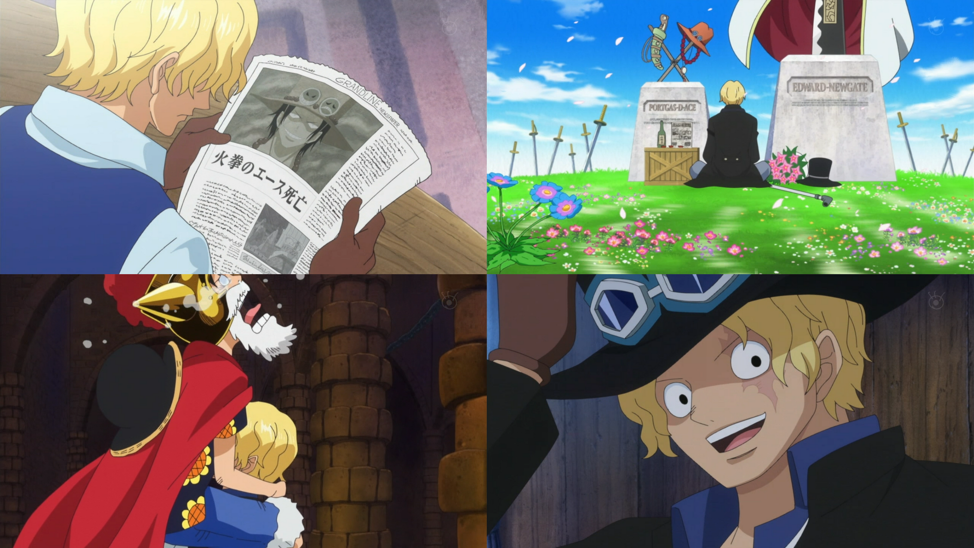 Episodio 738 One Piece Wiki Fandom