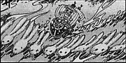 SBS71 Kelinci Laut.png
