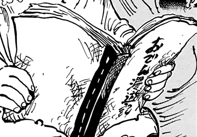 Manga Review: One Piece 1007 “Tanuki-San”