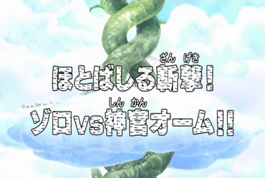One Piece Chopper Ayaushi! Motokami Tai Shinkan Shura (TV Episode