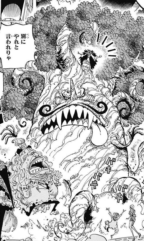 Kingbaum One Piece Wiki Fandom