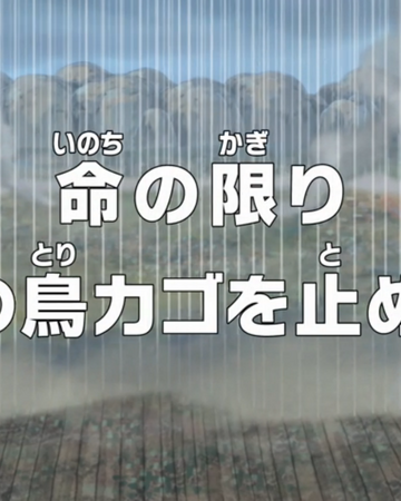 Episode 731 One Piece Wiki Fandom Episode 731 One Piece Wiki Fandom