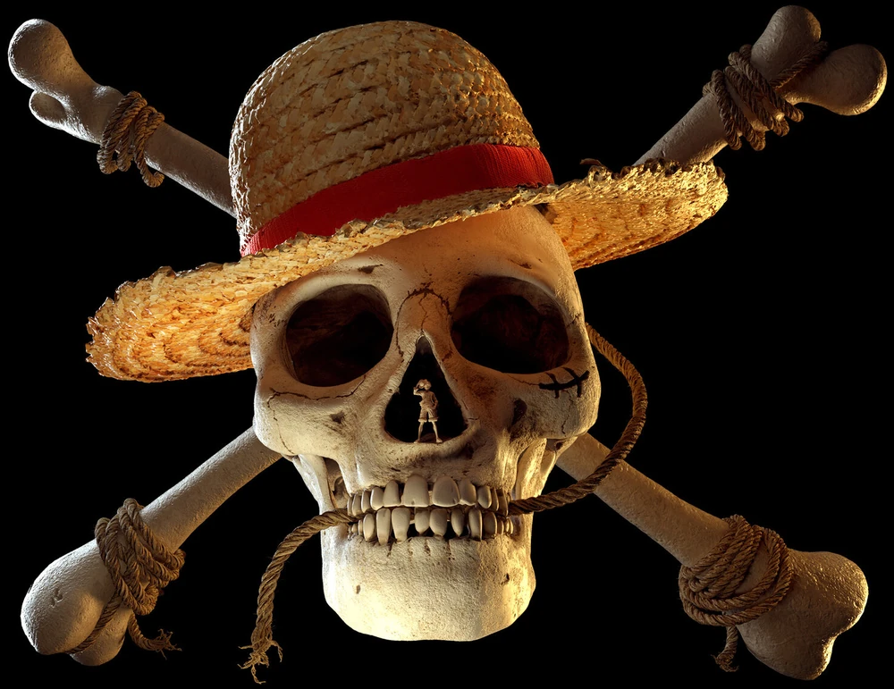 Piratas de Sombrero de Paja, One Piece Wiki