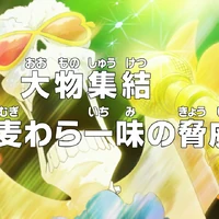 Episode 5 One Piece Wiki Fandom